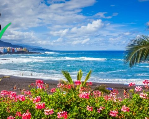 These are the 3 best beaches in Chile to visit this summer vacation 2026