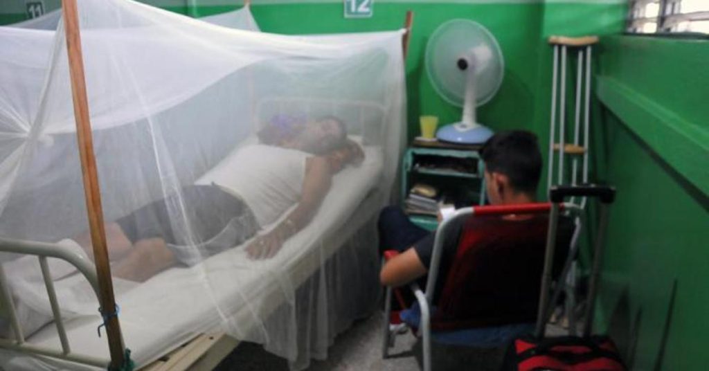 They admit that Cuba was not prepared for a chikungunya epidemic "great magnitude"
