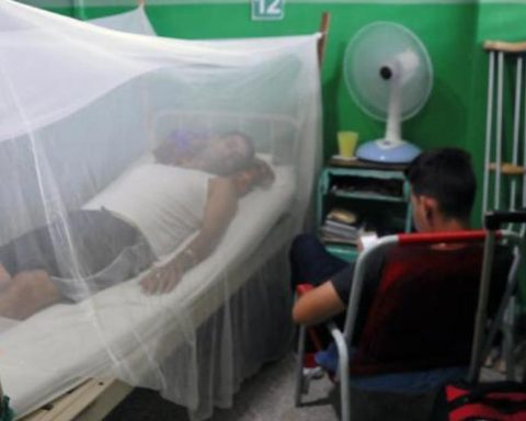 They admit that Cuba was not prepared for a chikungunya epidemic "great magnitude"