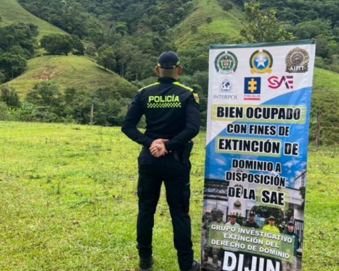 They apply domain extinction to assets of the FARC dissidents in Putumayo, Caquetá, Cauca and Nariño