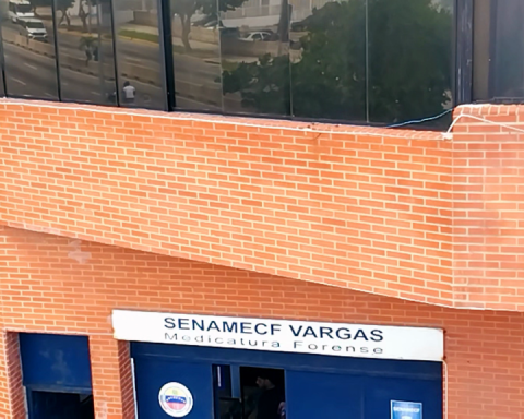 They investigate infanticide in Catia La Mar