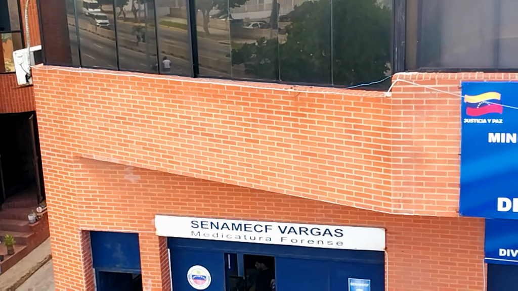 They investigate infanticide in Catia La Mar