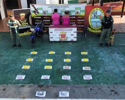 They seize 18 panels of alleged marijuana