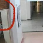 Thieves steal cardiac resuscitation equipment valued at $30 million from the ESE in Bello