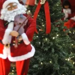 Today is the Day: Christmas, ecology and Cristina Buarque are highlights