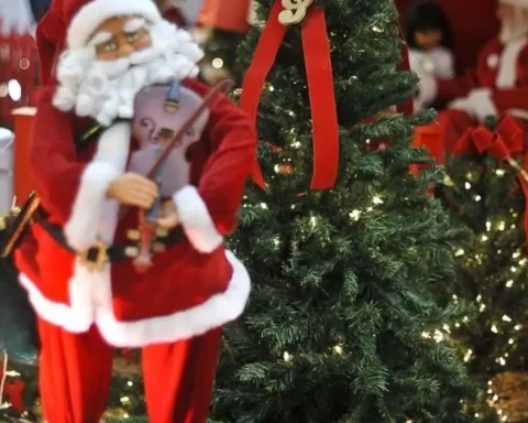 Today is the Day: Christmas, ecology and Cristina Buarque are highlights