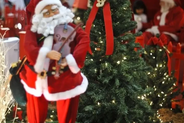 Today is the Day: Christmas, ecology and Cristina Buarque are highlights