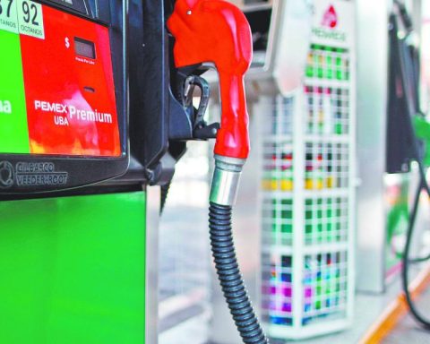 Treasury denies increase in gasoline prices due to IEPS update