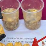 Two arrested for trying to bring drugs inside a jojoto to a penitentiary center in Táchira