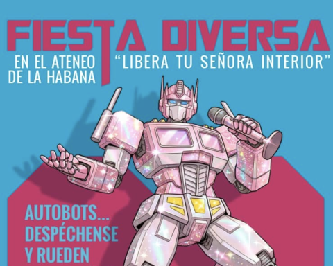 Two days of Diverse Party