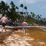 UN approves historic resolution on sargassum promoted by the Dominican Republic