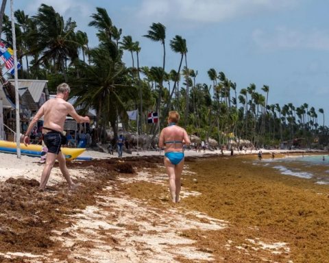 UN approves historic resolution on sargassum promoted by the Dominican Republic