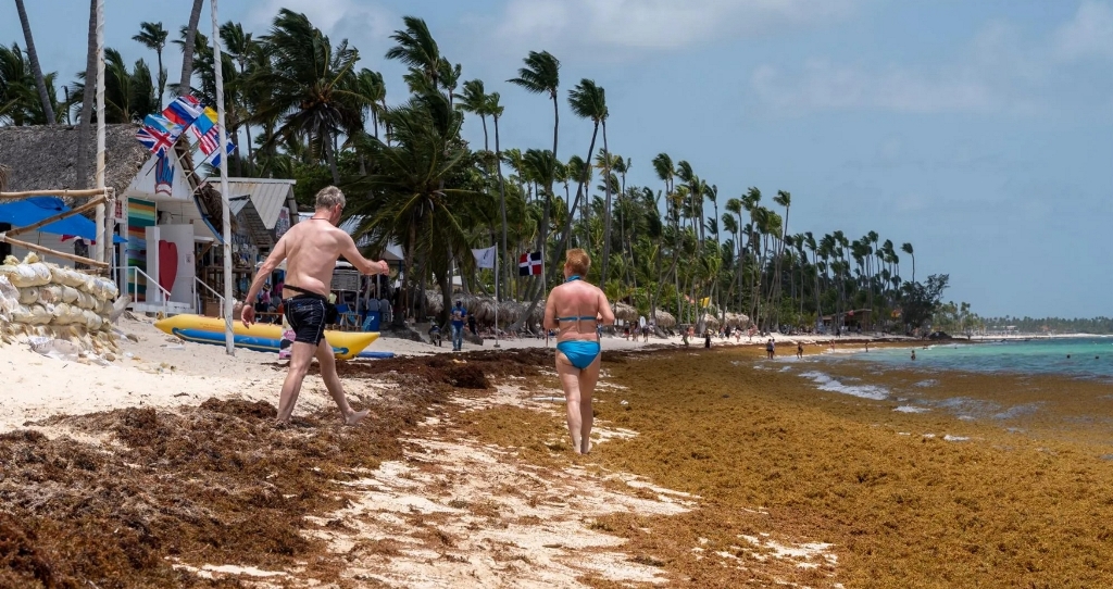 UN approves historic resolution on sargassum promoted by the Dominican Republic