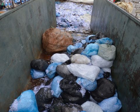 Waste production grows in 2024; adequate allocation improves