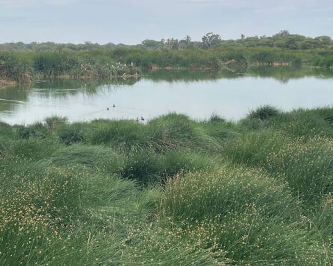 Wastewater threatens the Santa Julia wetland in Piura