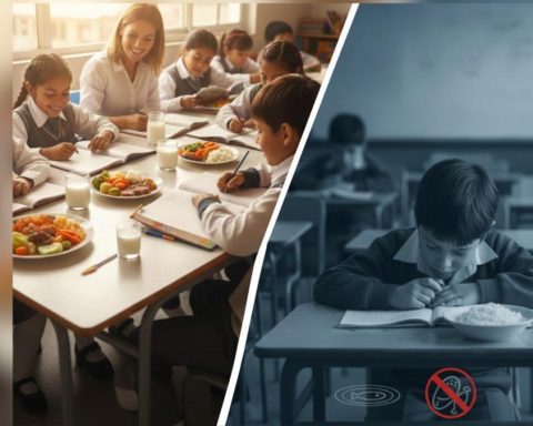 We warn of a critical risk for the learning of the country's schoolchildren