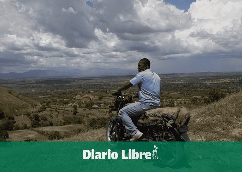 What do NGOs invest in on the Dominican border?