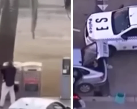 What happened in the Australian shooting, in which 15 people died?