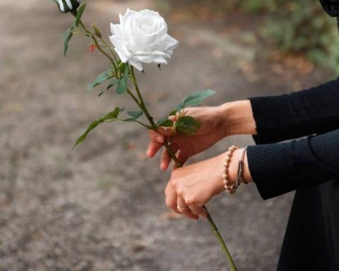 What is known about the death of Brigitte Bardot? icon of French cinema and animal defender