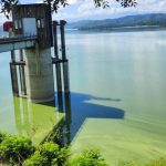 ¿Por qué el agua de la presa de Hatillo se volvió verde olivo? Crece preocupación en Cotuí