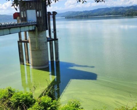 ¿Por qué el agua de la presa de Hatillo se volvió verde olivo? Crece preocupación en Cotuí