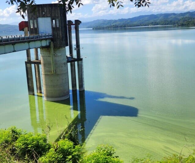 ¿Por qué el agua de la presa de Hatillo se volvió verde olivo? Crece preocupación en Cotuí