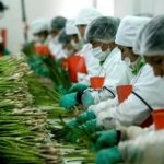 Will Peru's next agroindustrial revolution be sustainable or not?