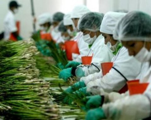 Will Peru's next agroindustrial revolution be sustainable or not?