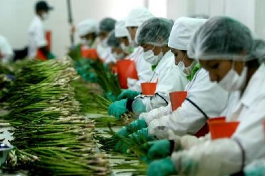 Will Peru's next agroindustrial revolution be sustainable or not?