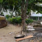 "Without balita to cook the little that is available, what is going to be celebrated this December 31?"