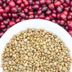 2025: Peru reaches historic figures in coffee exports and prices