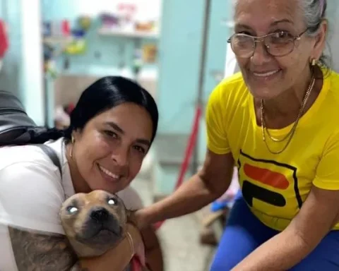 Rambo, un perro rescatado y entregado en adopción por BAC Habana