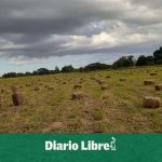 Agriculture begins subsidized sale of bales for ranchers