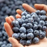 Agro and mining attract formal private employment