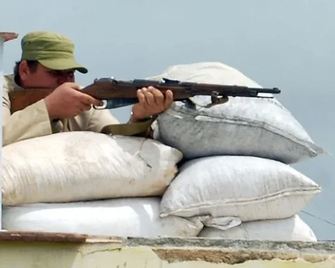 Participante en un "Día de la Defensa" convocado por el régimen