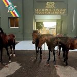 Ejército frustra intento de robo de caballos hacia Haití