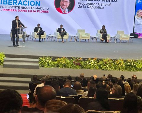 Attorney General assured that the President of the Republic has immunity