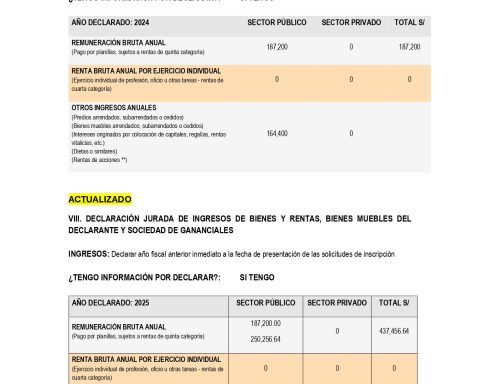 Avanza Country's presidential plan at risk: JEE will resolve the dispute over declared income of José Williams