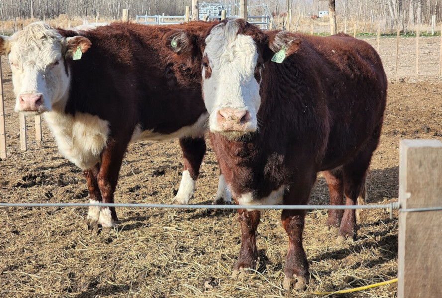 BROU approved assistance to producers affected by the water deficit