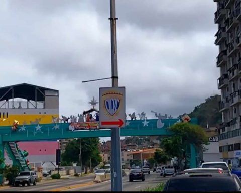 Cicpc investigates feminicide against stylist in Catia La Mar