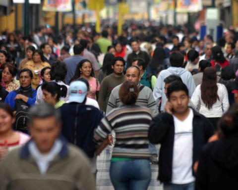 Consulting Support: Perception of progress does not take off despite improvement in the economy