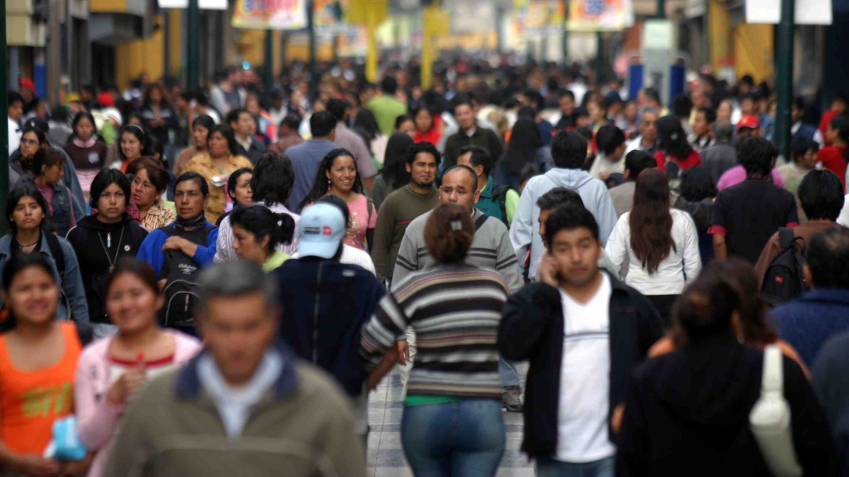 Consulting Support: Perception of progress does not take off despite improvement in the economy