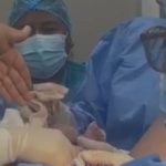 Criminal investigation opened against health personnel for exposing the life of a newborn