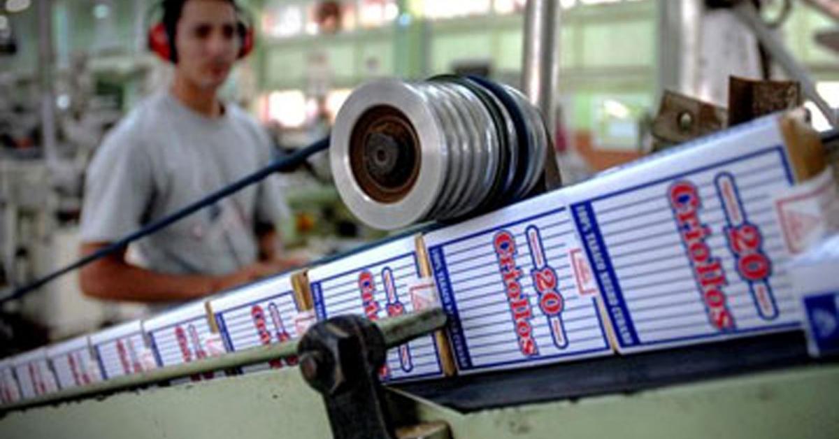 Cuba exports luxury tobacco and smokes recycled powder