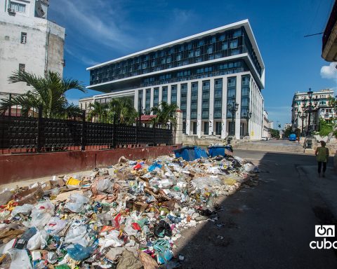 Cuba reduces cases of febrile syndromes by more than 6,000 and registers a decrease in dengue and chikungunya