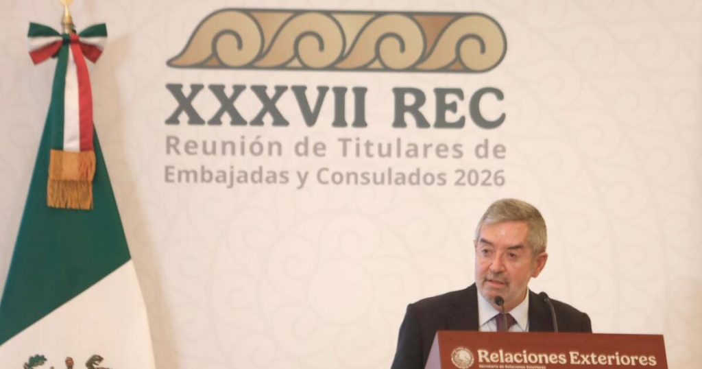 De la Fuente resumes his position and asks the UN for more determination after the attack on Venezuela