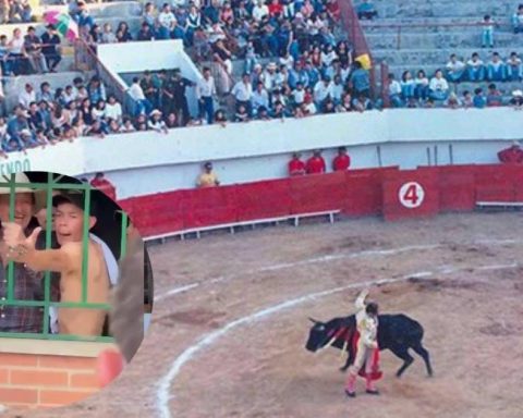 Demonstration against bullfighting in Barbosa, Santander, ended in violence and they will open a file against the mayor