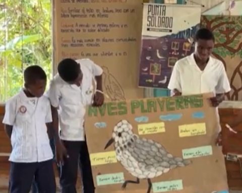 ¿Sabías que Buenaventura es escenario de un festival de aves migratorias en Colombia?