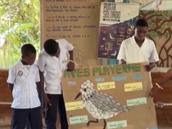 ¿Sabías que Buenaventura es escenario de un festival de aves migratorias en Colombia?