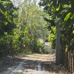 Disappearance of girl Brianna Genao: advances in the investigation